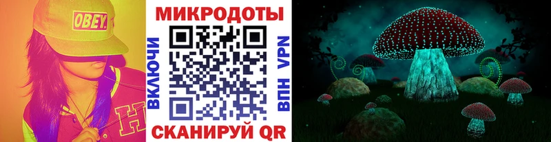 Псилоцибиновые грибы мицелий Белоозёрский